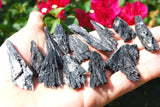 Brazilian Black Kyanite FanBlade Crystal Perfect Pendant + 20" Silver Chain