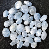 CHARGED Polished Celestite Crystal Perfect Pendant SOOTHING + 20" Silver Chain