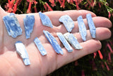 Brazilian Blue Kyanite Crystals (Pendant-Sized Full Half Pound)