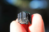 5 CHARGED Natural Rough Black Tourmaline Crystals Metaphysical Healing 250cts