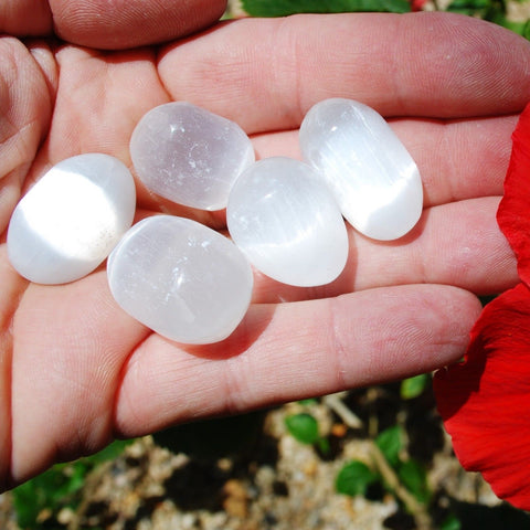 [5] " SELENITE POLISHED SUNDROPS Healing Crystals Reiki POWER - ZENERGY GEMS