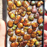 Mexican Fire Agate Cabochon Pendant + 20" Silver Snake Chain