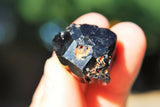 5 CHARGED Natural Rough Black Tourmaline Crystals Metaphysical Healing 250cts