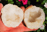 [2] Two x 4" Natural Geode Pairs Crystal Geode Quartz Druze Specimen Moroccan
