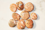 MD CHARGED 1.7" Leopardskin Jasper Crystal Hand-Carved Palm / Worry Stone REIKI