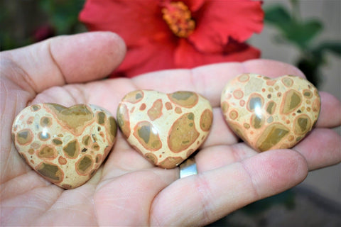 [1] MD Leopardskin Jasper Crystal Puffy Heart / Palm Stone Reiki ZENERGY GEMS