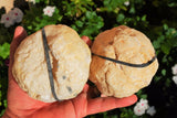 [2] Two x 4" Natural Geode Pairs Crystal Geode Quartz Druze Specimen Moroccan