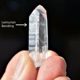 Colombian Lemurian Seed Clear Quartz Perfect Pendant + 20" Chain [Facet-Grade]