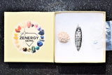 CHARGED Baby Moroccan Orthoceras Fossil Perfect Pendant + 20" Silver Chain