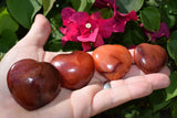 Carnelian Agate Crystal Puffy Heart / Palm Stone [Madagascar] ZENERGY GEMS
