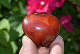 Carnelian Agate Crystal Puffy Heart / Palm Stone [Madagascar] ZENERGY GEMS