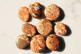 MD CHARGED 1.7" Leopardskin Jasper Crystal Hand-Carved Palm / Worry Stone REIKI