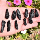 CHARGED LG Natural Tibetan Tektite Perfect Pendant + 20" Silver Chain SYN 12