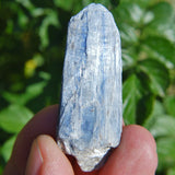 Brazilian Blue Kyanite Crystal Perfect Pendant + 20" Silver Chain WOW!!!