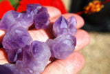 5 CUTE Tibetan Elestial Amethyst Crystal Clusters Reiki [USA] 250cts WOW!!!
