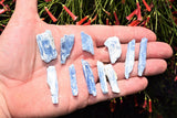 Brazilian Blue Kyanite Crystals (Pendant-Sized Full Half Pound)