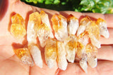 xCUTE Brazilian Baby Citrine Crystal Point Perfect Pendant™ 26" 925 Silver Chain