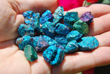 ~20 PCS AAA Grade CHARGED 650cts BABY PEACOCK ORE Chalcopyrite Crystals Healing