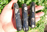 CHARGED 4.0"  Orthoceras Fossil Wand Reflexology Massage Crystal Energy Healing