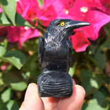 [1] XL 2.5" Black Onyx Crystal Hand-Carved Raven Reiki NEGATIVE ENERGY PROTECTION!